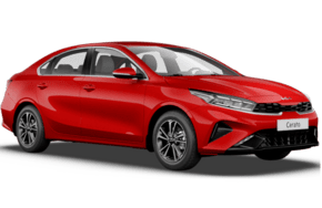 Cerato